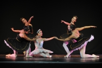 Diversidade em Dança 2014